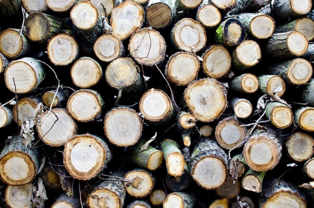 So sparst du effektiv Strom und Gas und wechselst den Tarif richtig